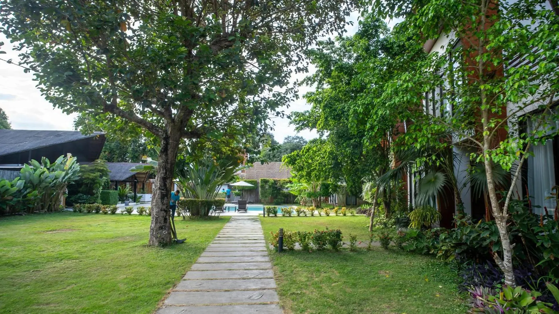 Bird Of Paradise Panglao Hotel