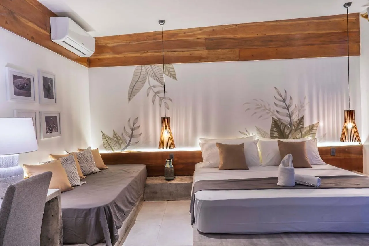 Hotel Bird Of Paradise Panglao