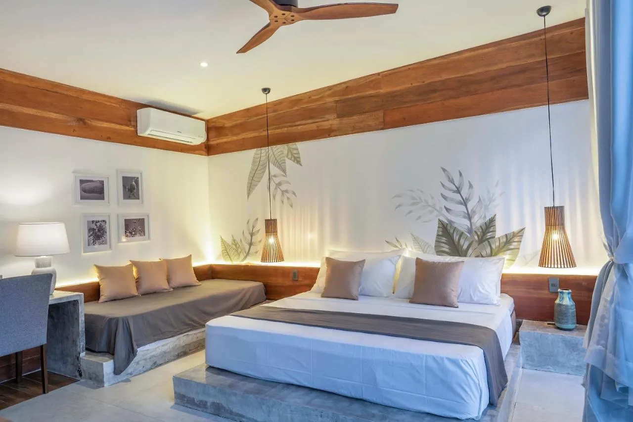 Hotel Bird Of Paradise Panglao
